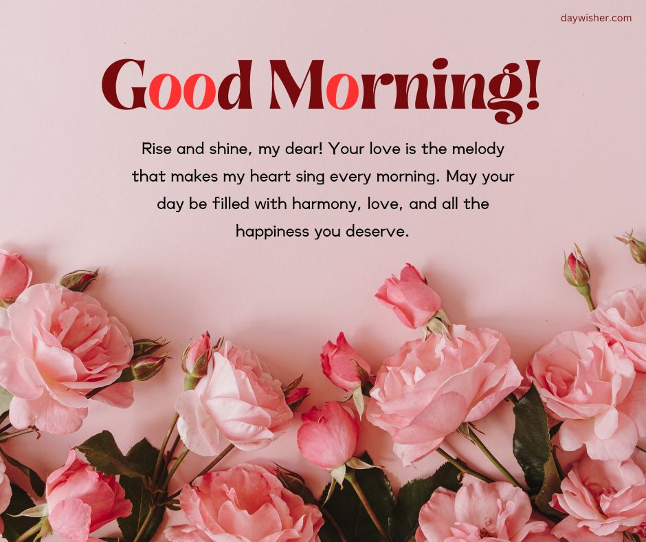 A pink background with numerous light pink roses scattered around a message that reads "Good Morning Paragraphs For Her! Rise and shine, my dear! Your love is the melody that makes my heart sing every