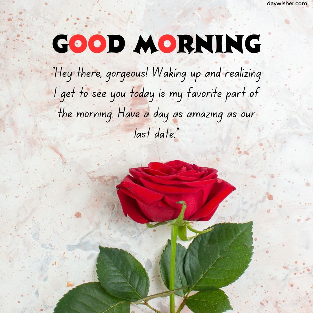 A vibrant red rose centered on a textured white background with specks and water drops, overlaid with a "good morning" greeting for your boyfriend and an inspirational quote in elegant typography.