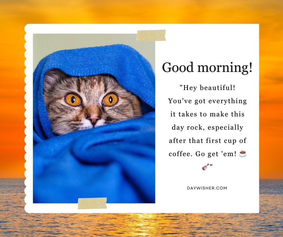 A cat with striking yellow eyes peering out from under a blue towel, set against a sunset background. A text overlay reads funny good morning messages promoting coffee.