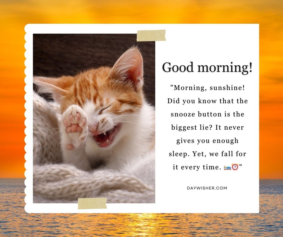 A joyful orange and white kitten laughing with its mouth open, displayed against a stunning sunset background, accompanied by a funny good morning message about the snooze button.