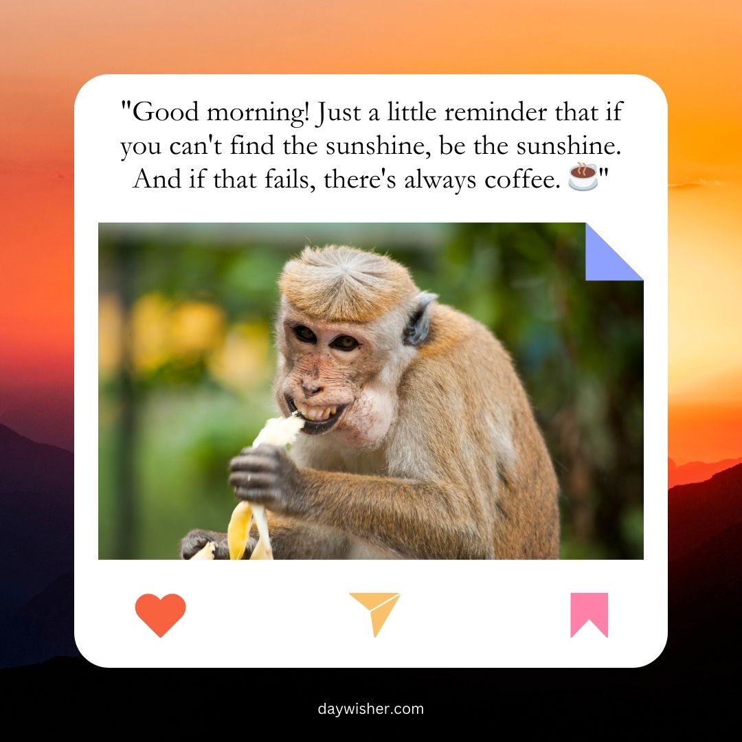 A monkey eating a banana with a quote on the image saying, "Good morning! Just a little reminder that if you can't find the sunshine, be the sunshine. And if that fails