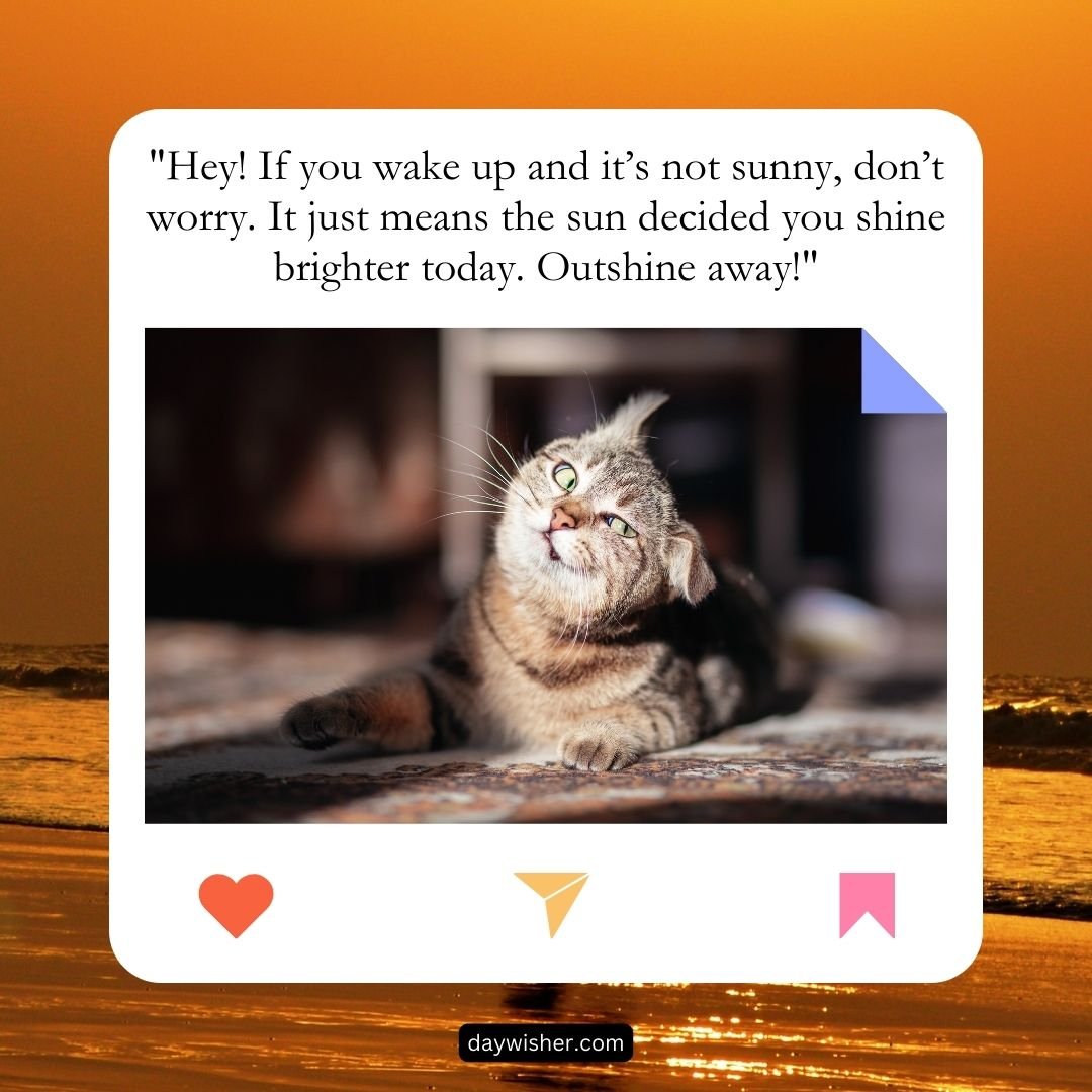 A cat lying on a patterned fabric tilts its head upward with a partially closed left eye, giving a quirky expression. A "Good Morning Texts" quote about shining bright is displayed