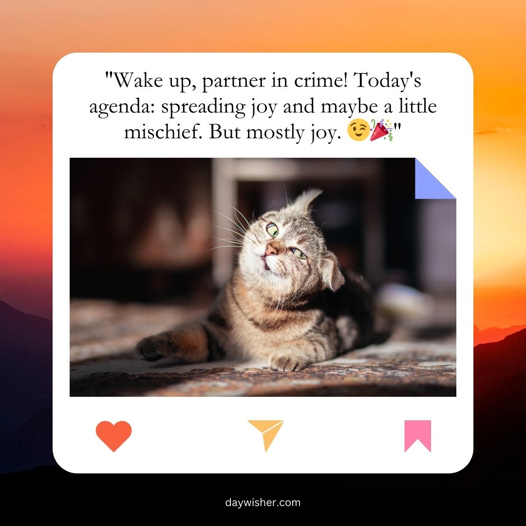 A tabby cat stretches joyously in sunlight with one paw extended, against a backdrop of a sunset, overlaid with a funny good morning message about joy and mischief.