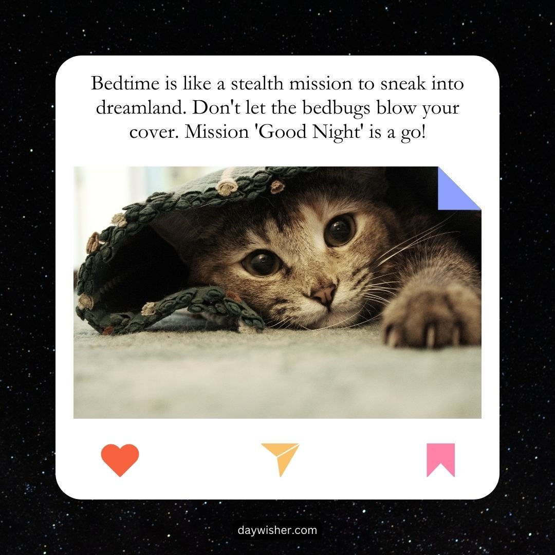 A cat peeking from under a green knitted blanket with one paw extended, captioned with a funny good night message about sneaking into dreamland.