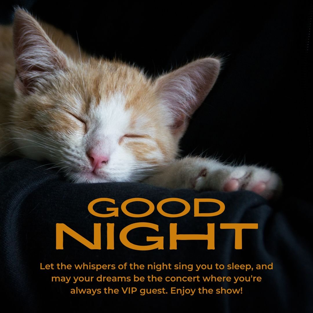 An orange tabby kitten sleeping peacefully, with its head resting on a black surface. The image includes the text "good night" along with a funny message wishing the viewer a pleasant sleep filled with delightful