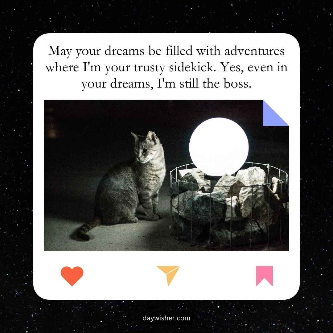 A cat sits next to a glowing orb on a pillow, enclosed by a geometric structure, under a starry night sky. A caption reads funny good night messages about being a sidekick in dreams.