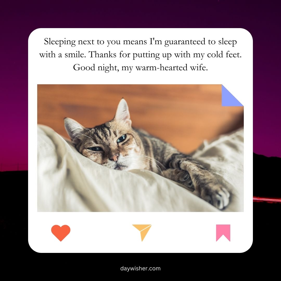 A cozy tabby cat sleeps on a bed with a "Good Night" message expressing gratitude to a wife for warmth and companionship, from textwishes.com.