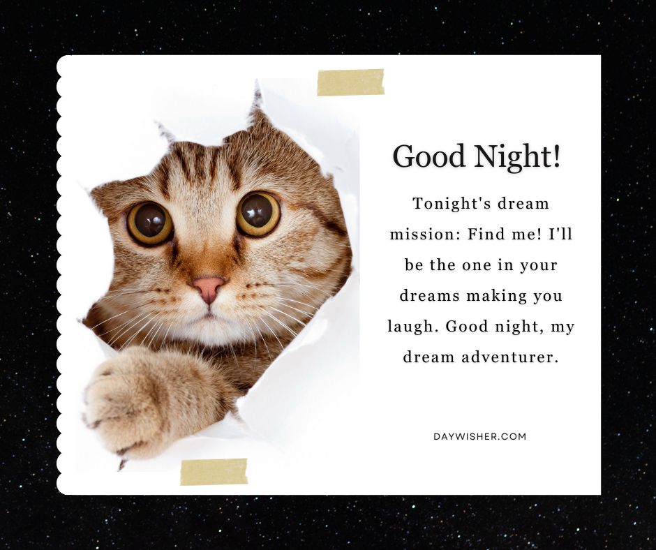 An image of a cat peeking through a hole in a star-sprinkled black background, with a text that says "Good night! Tonight's dream mission: find me! I'll be