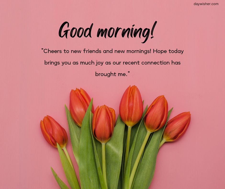 A cheerful "Good Morning Messages For Friends" message above a bouquet of fresh tulips on a pink background, conveying warmth and friendship.