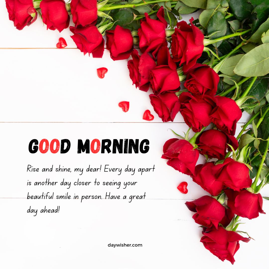 Image of several red roses scattered across a white background with a text overlay saying "good morning - rise and shine, my dear! every day apart is another day closer to seeing your handsome smile in person