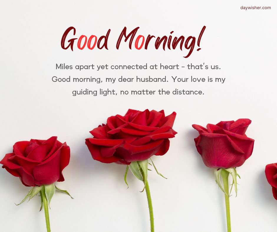 Three vibrant red roses lie diagonally on a white background with a greeting "Good Morning Messages for Husband" and a heartfelt message about love bridging distance.