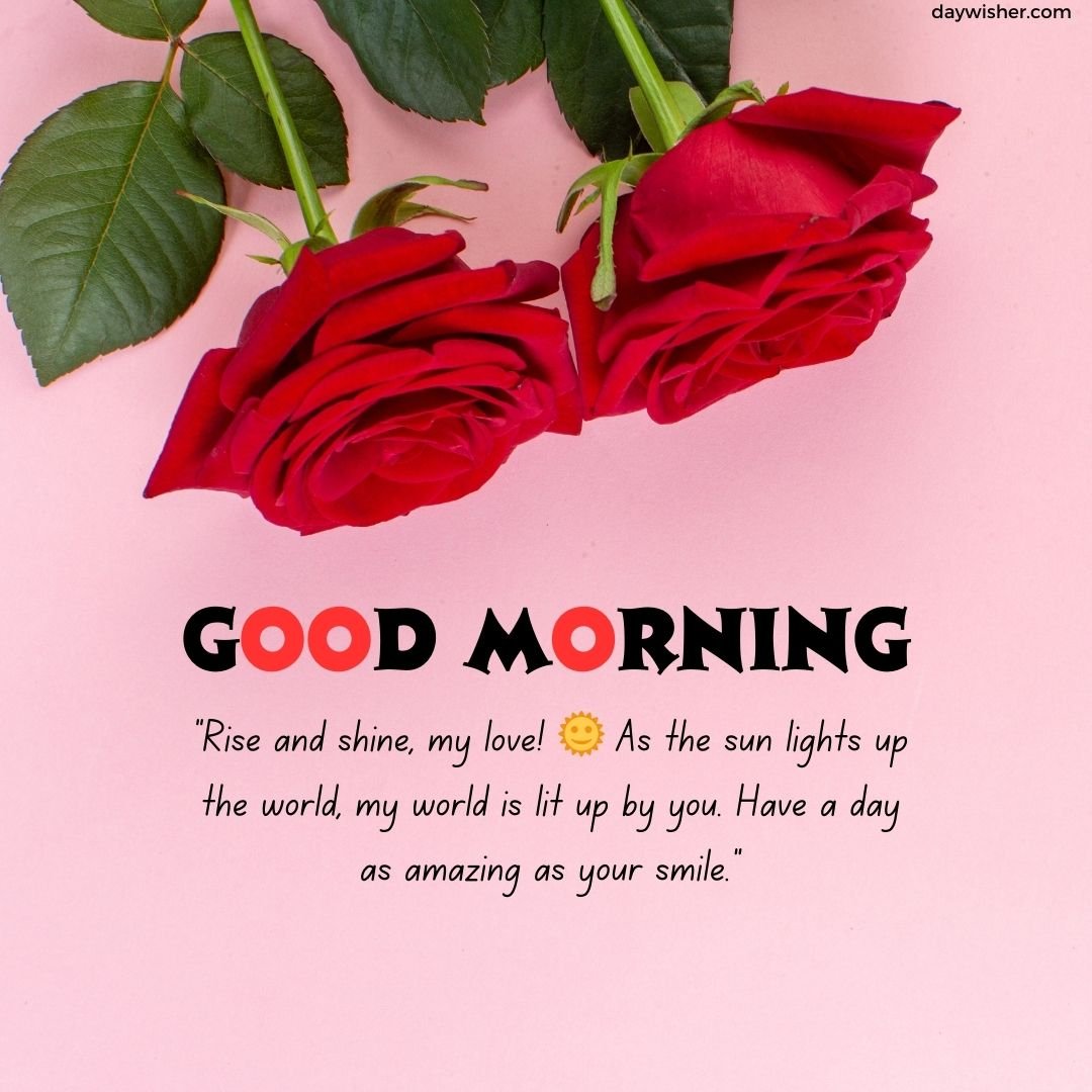 Three vibrant red roses lie diagonally across a pastel pink background with a text overlay that says "good morning" and a heartfelt message underneath for your boyfriend.