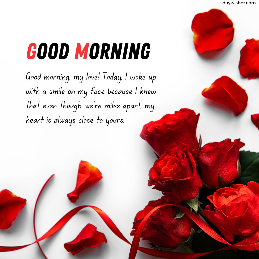 A collection of vibrant red roses scattered on a white surface with a message saying "Good Morning Messages For Her Long Distance" in bold, and a heartfelt romantic note beneath it.