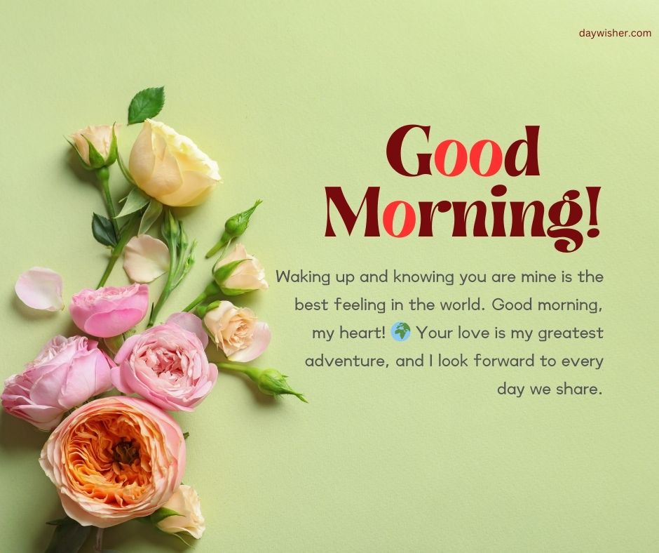 A collection of beautiful roses in soft pink and peach tones arranged on a light green background with a "Good Morning Paragraphs For Her" greeting and a heartfelt message.