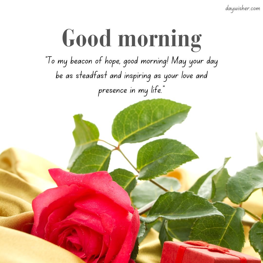An inspirational message "Good Morning Prayer - to my beacon of hope and inspiring light! May your day enrich the presence in my life" overlaid on an image featuring a vibrant red rose against a backdrop