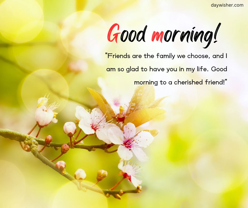 Inspirational Good Morning greeting image with a quote about friendship over a blurred background featuring delicate white and pink blossoms on a branch, with a soft, sunlit green and yellow bokeh effect.