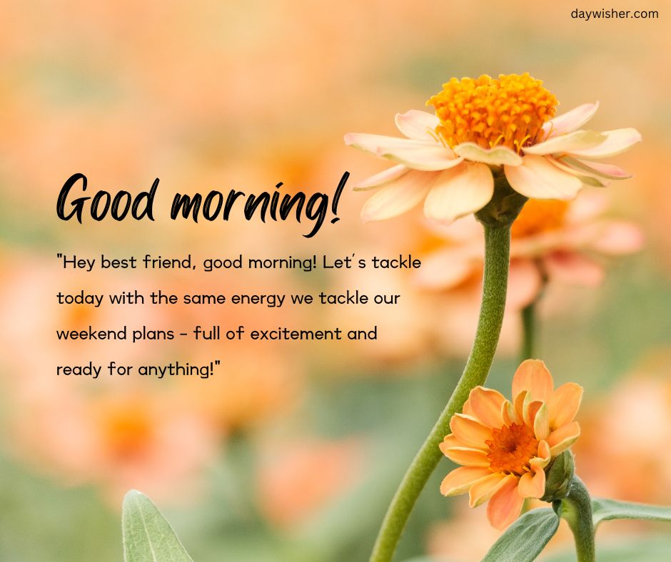 "Good Morning Messages For Friends – 'Good morning! Hey best friend, let’s tackle our day with the same energy! We're ready for anything!' displayed on an image with vibrant orange