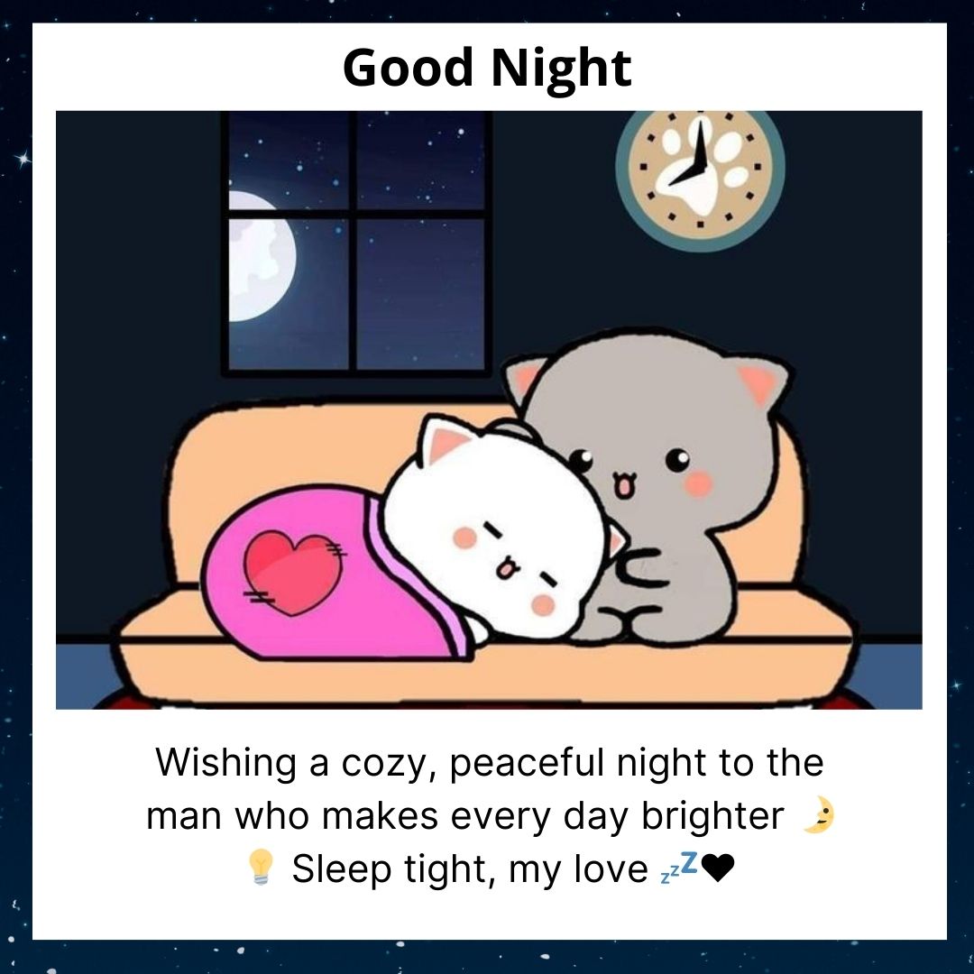 Illustration of two cute cats cuddling on a sofa under a starry night sky through the window, with a "good night" greeting and a heartfelt message about brightening your boyfriend's days.