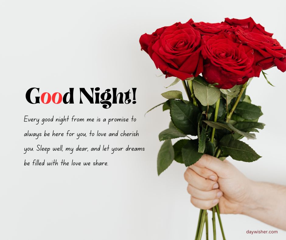 A person's hand holding a bouquet of red roses against a white background with the text "Good Night! Every good night from me is a promise to always be here for you, my love, and