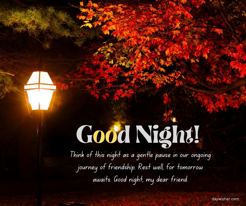 A serene nighttime scene with a glowing street lamp beside vibrant red autumn leaves and a dark background, featuring a text overlay saying "Good night! Think of this night as a gentle pause in our ongoing journey