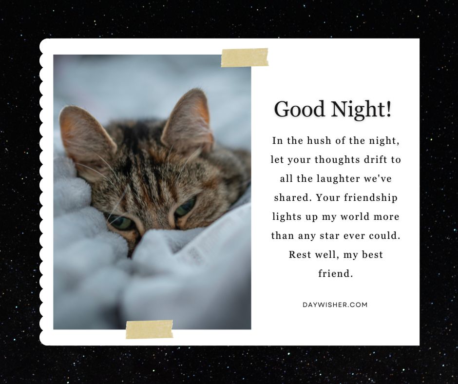 A close-up image of a brown tabby cat peeking out from a blanket, with a decorative postage stamp border and a good night message wishing well to a friend.