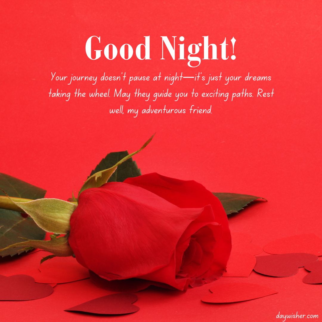 Red background with a red rose and scattered red petals featuring a "Good Night!" message that includes an inspirational quote.