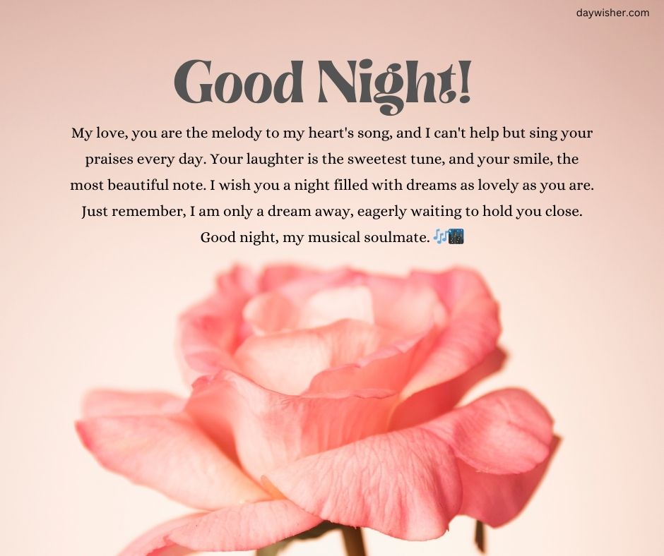 Text reading "good night" over a background of soft pink rose petals, accompanied by a heartfelt good night message for your girlfriend about music and dreams, enhancing the romantic atmosphere.