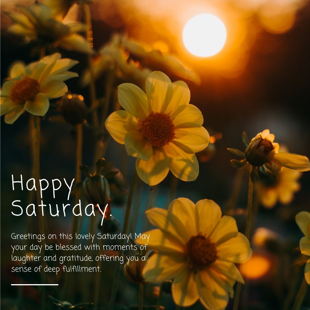 An image of vibrant yellow flowers and green leaves bathed in the warm, golden light of a sunset, accompanied by a greeting message that reads "happy Saturday morning" and a heartfelt wish for a fulfilling