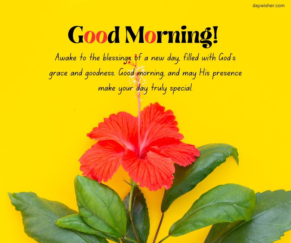 A bright yellow background with a red hibiscus flower and green leaves centered at the bottom. Overlaid text reads "Spiritual Good Morning! Awake to the goodness of a new day,