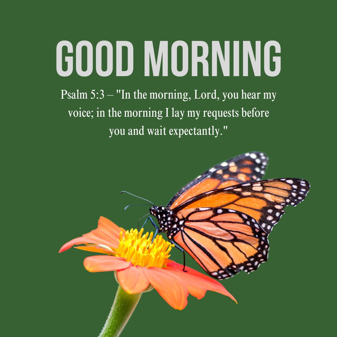 Bible verses for morning prayers featuring Psalm 5:3 with a monarch butterfly on an orange flower.