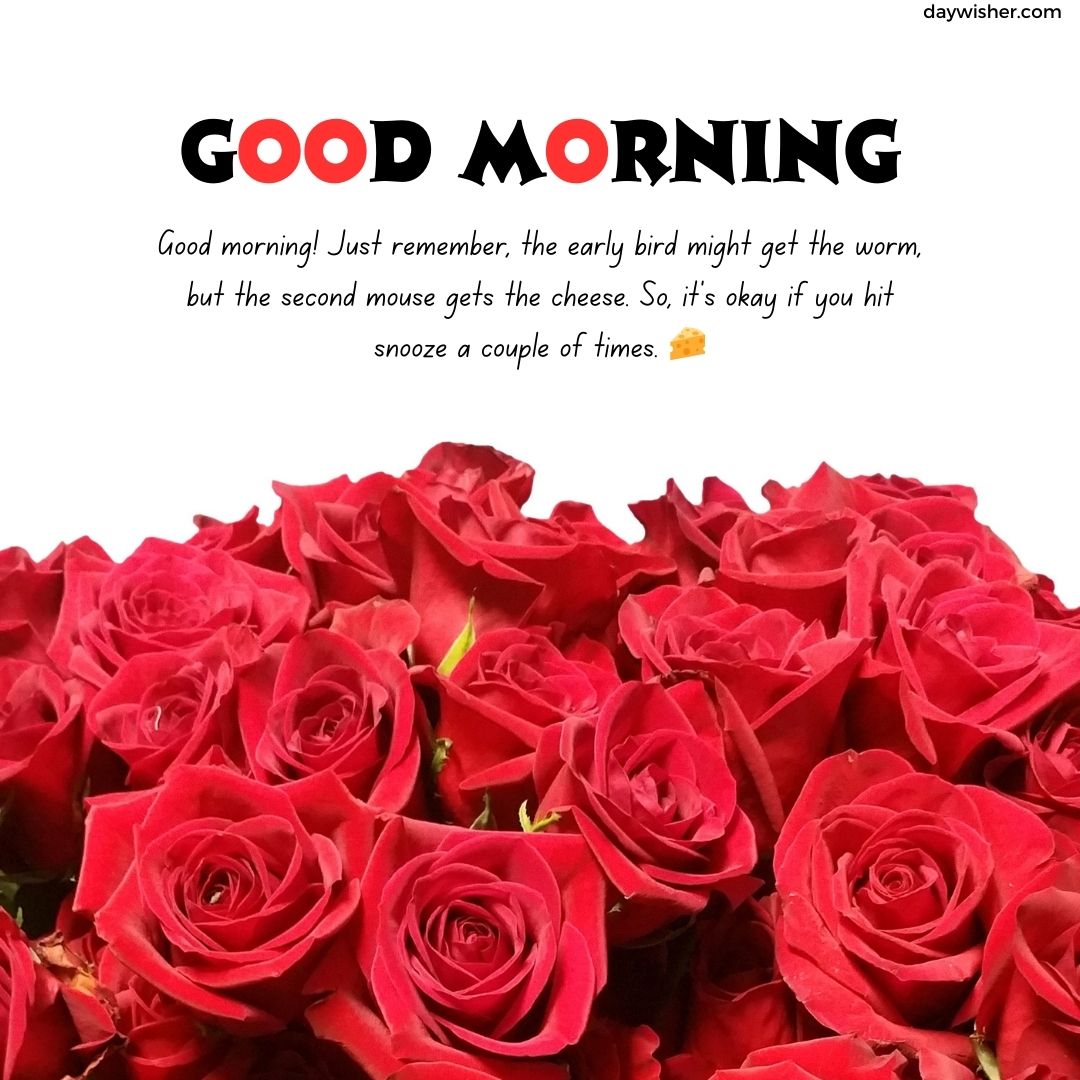 A vibrant image of numerous red roses in full bloom with a caption that reads "Good Morning Paragraphs for Him" followed by encouraging text about hitting the snooze button.