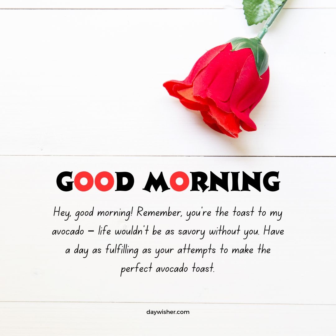 A bright red rose lays on a white wooden surface with a message saying "Good Morning Paragraphs for Him" and an uplifting note comparing someone to toast and avocado, enhancing their day.