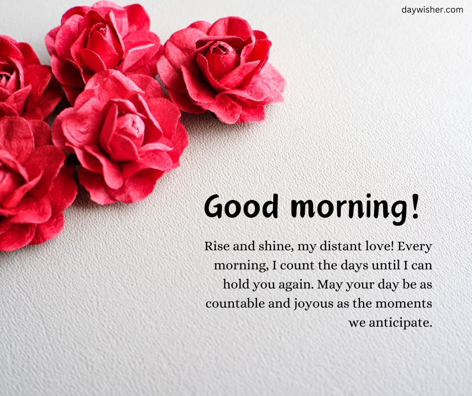 An image featuring a cluster of vibrant red roses on a white background with the text "Good Morning! Rise and shine, my distant love! Every morning, I count the days until I can hold you