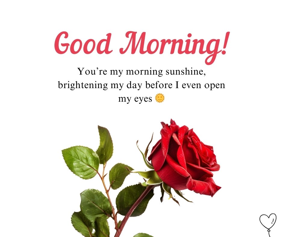 Good Morning love Messages featuring a romantic quote with a red rose, symbolizing love and warmth for a bright start to the day.