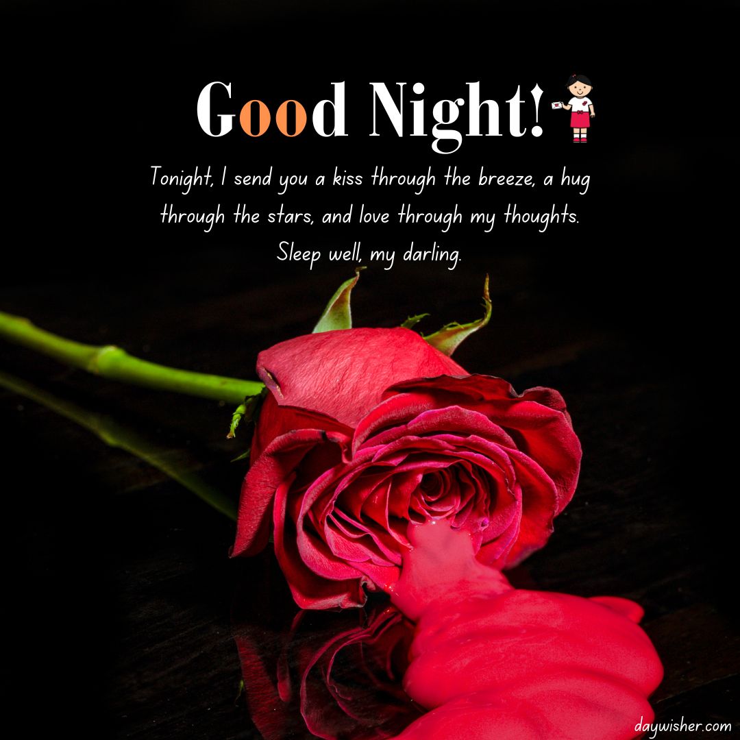 A vibrant red rose lies on a dark surface with droplets of water on its petals, beside the text "good night!" expressing a heartfelt Good Night Message For Boyfriend.