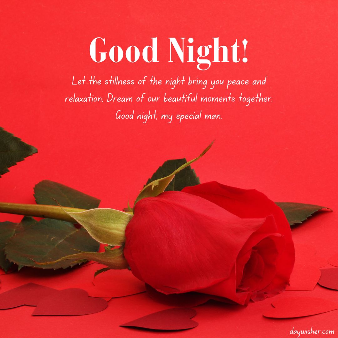 A vibrant red rose lying on a red background with scattered rose petals, featuring a text overlay that says "Good night! Let the stillness of the night bring you peace and relaxation. Dream of our