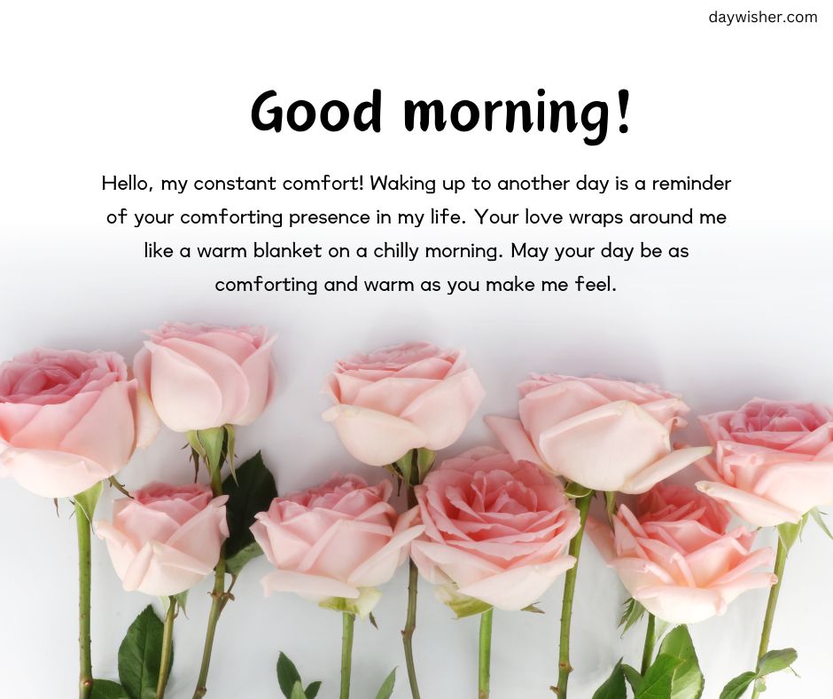 A message that reads "Good Morning Paragraphs for Him" on a background featuring soft pink roses scattered across the top, with a heartfelt, comforting message about love and warmth displayed in black text.