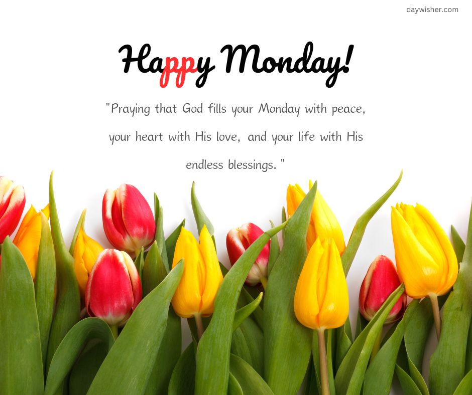 A vibrant image featuring a bouquet of red and yellow tulips with "Monday Morning Wishes!" greeting above, accompanied by an inspirational quote about peace, love, and blessings.