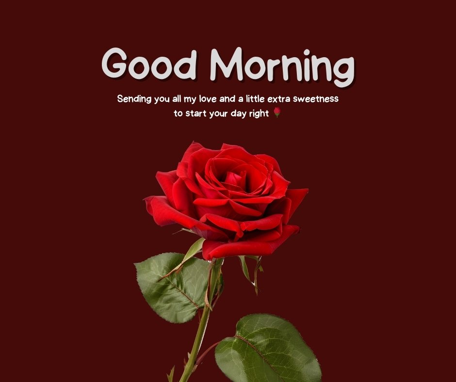 A vibrant red rose with the text "Good Morning, Sending you all my love and a little extra sweetness to start your day right," ideal for expressing a Sweet Good Morning Message for Her.