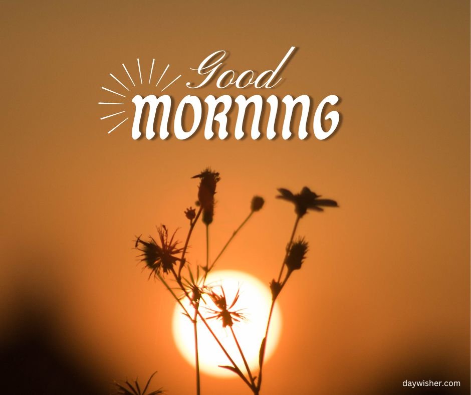 Silhouetted plants against a warm sunrise, with a good morning greeting that lights up the new day.