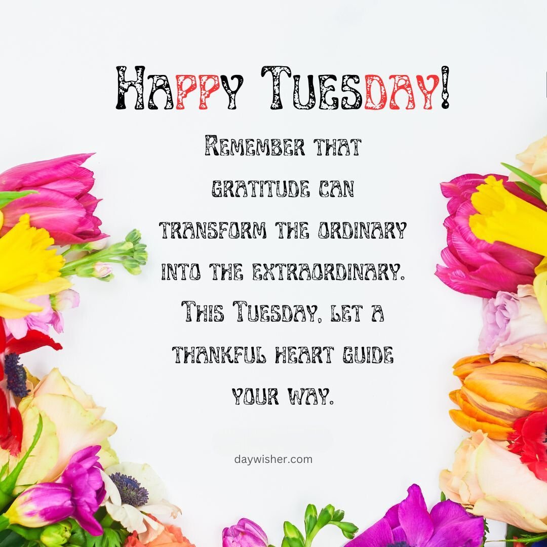 Colorful tulips bordering a motivational message that says "Happy Tuesday Blessings! Remember that gratitude can transform the ordinary into the extraordinary. This Tuesday, send a thankful heart your way." on a