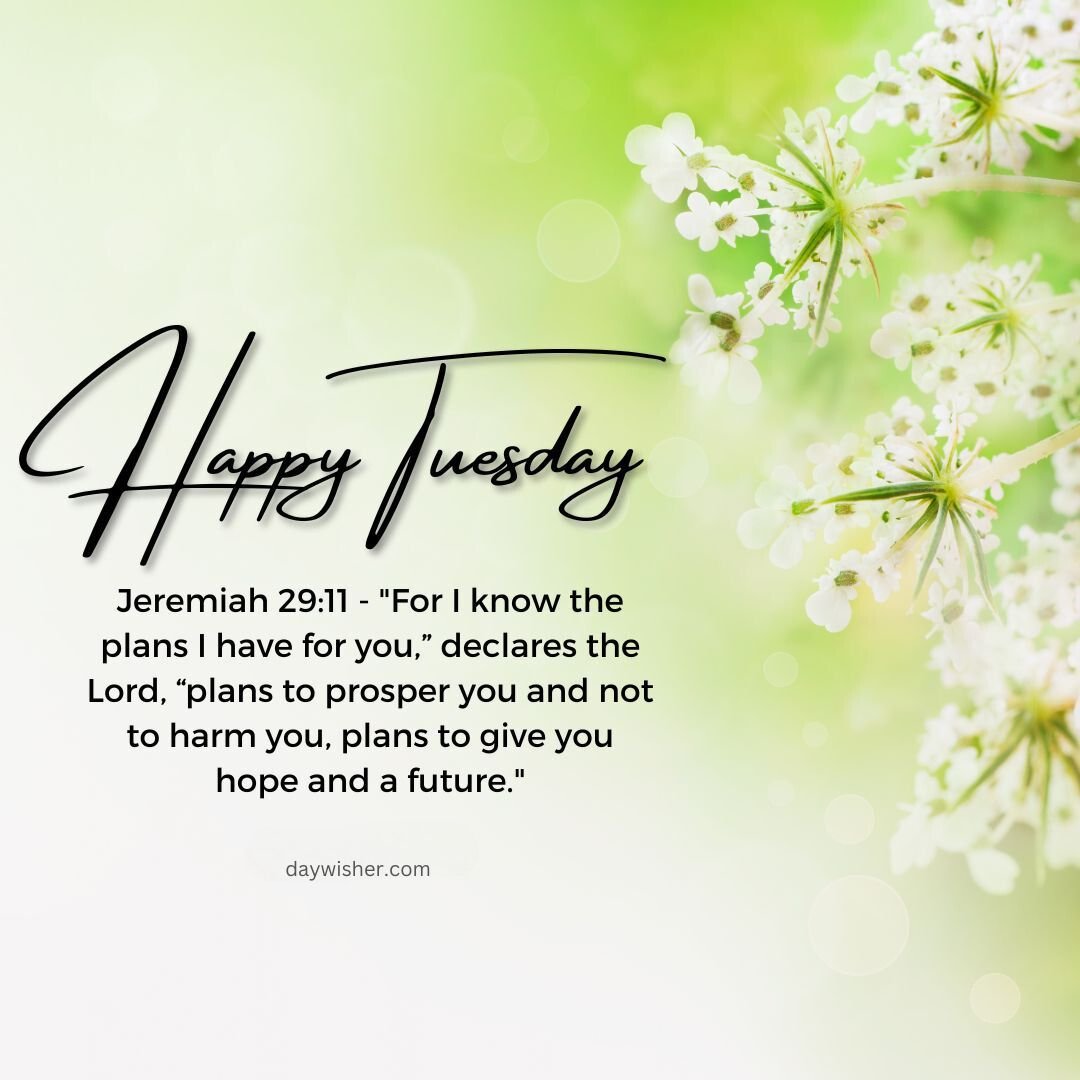 Text "Happy Tuesday Morning Prayer" with a bible verse from Jeremiah 29:11 on a background of soft-focused green leaves and white blossoms, accompanied by the website URL "textwishes.com
