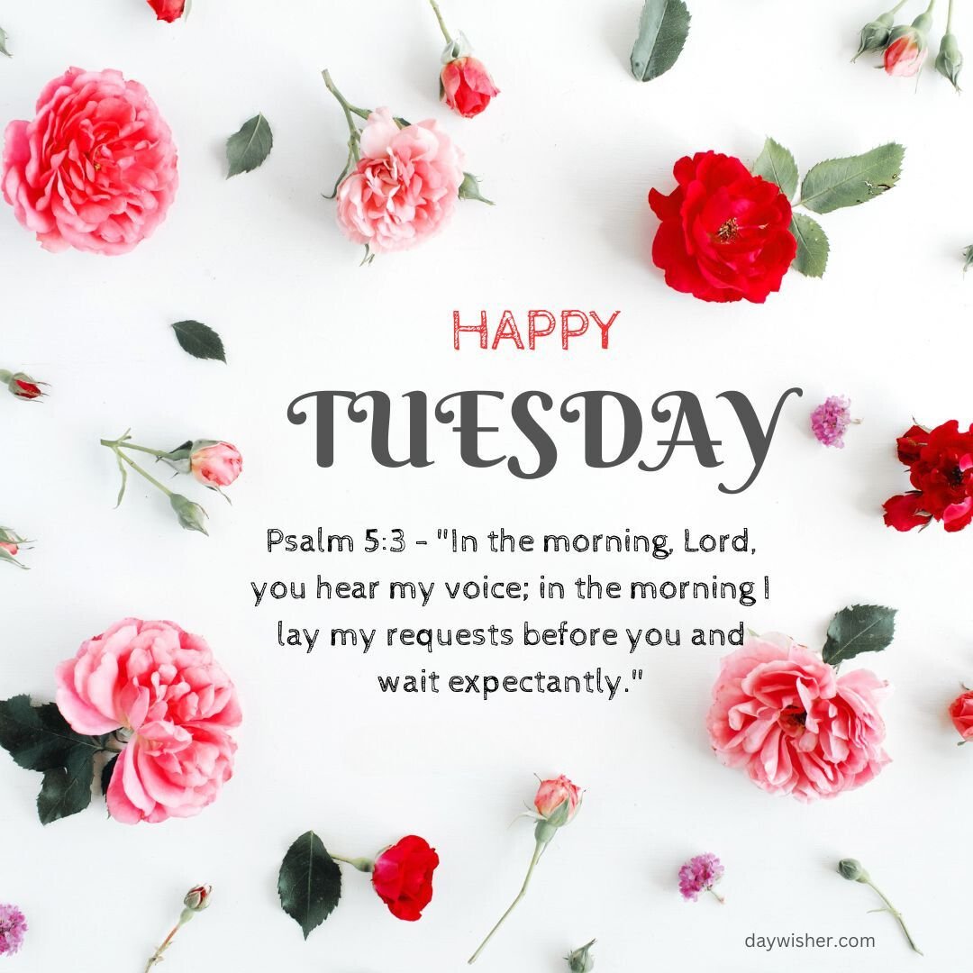 A festive image featuring the words "happy Tuesday Morning Prayer" in bold letters, surrounded by beautiful pink roses scattered on a white background, with a psalm citation about morning prayers.