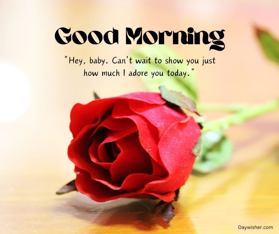 A vibrant red rose lying on a wooden surface with a blurred background, bearing a message that says "Good Morning Love" and "Hey, baby. Can't wait to show you just how much I