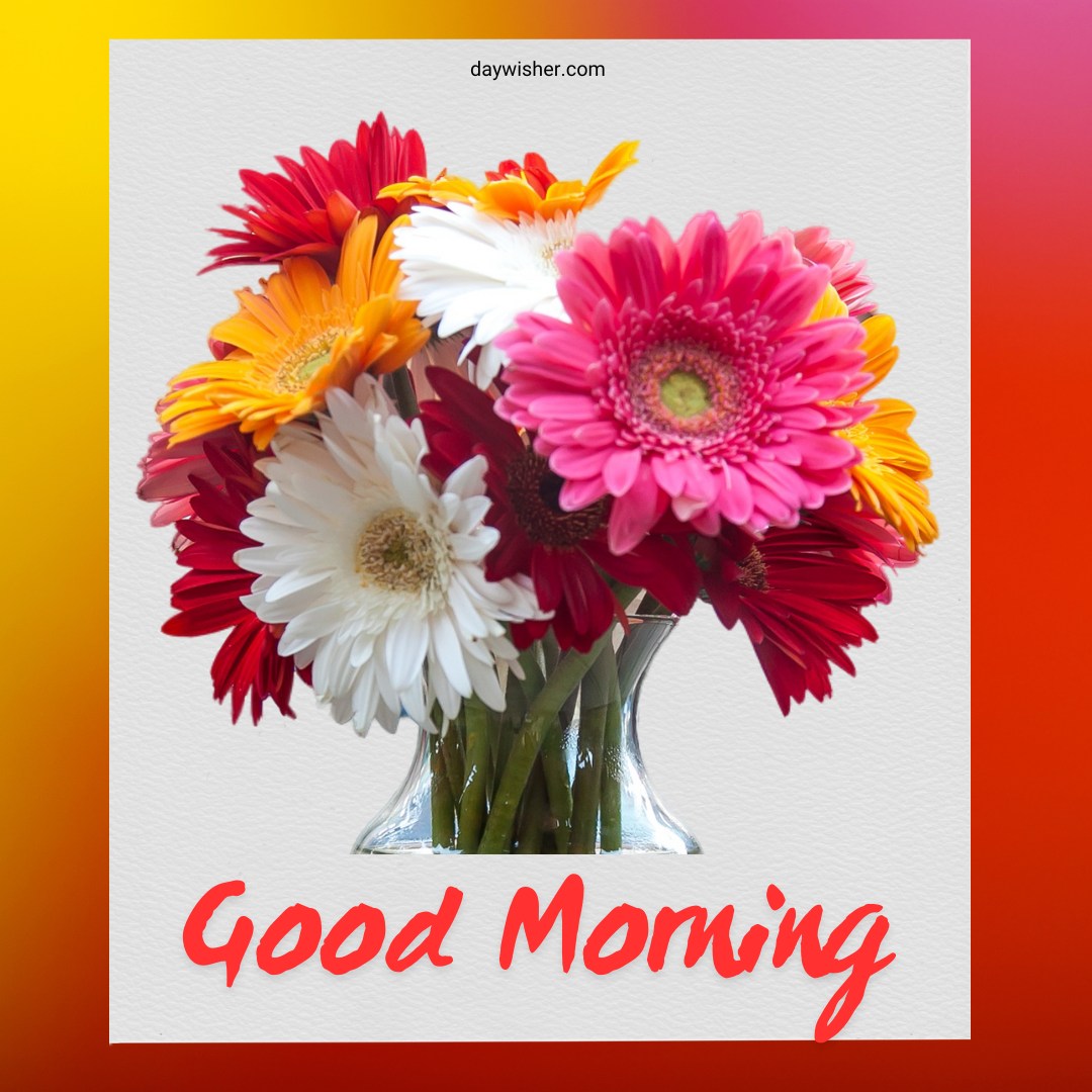 A cheerful bouquet of brightly colored gerbera daisies arranged in a clear glass vase, set against a dual-tone background of yellow and orange. The bouquet includes flowers in shades of red, pink, orange, and white, each bloom fully opened to showcase its beauty and vibrancy. This image conveys a warm and inviting good morning greeting, perfect for bringing a smile and a burst of energy to start the day. The bright colors and fresh appearance of the daisies make this an ideal good morning flowers image to share and enjoy.