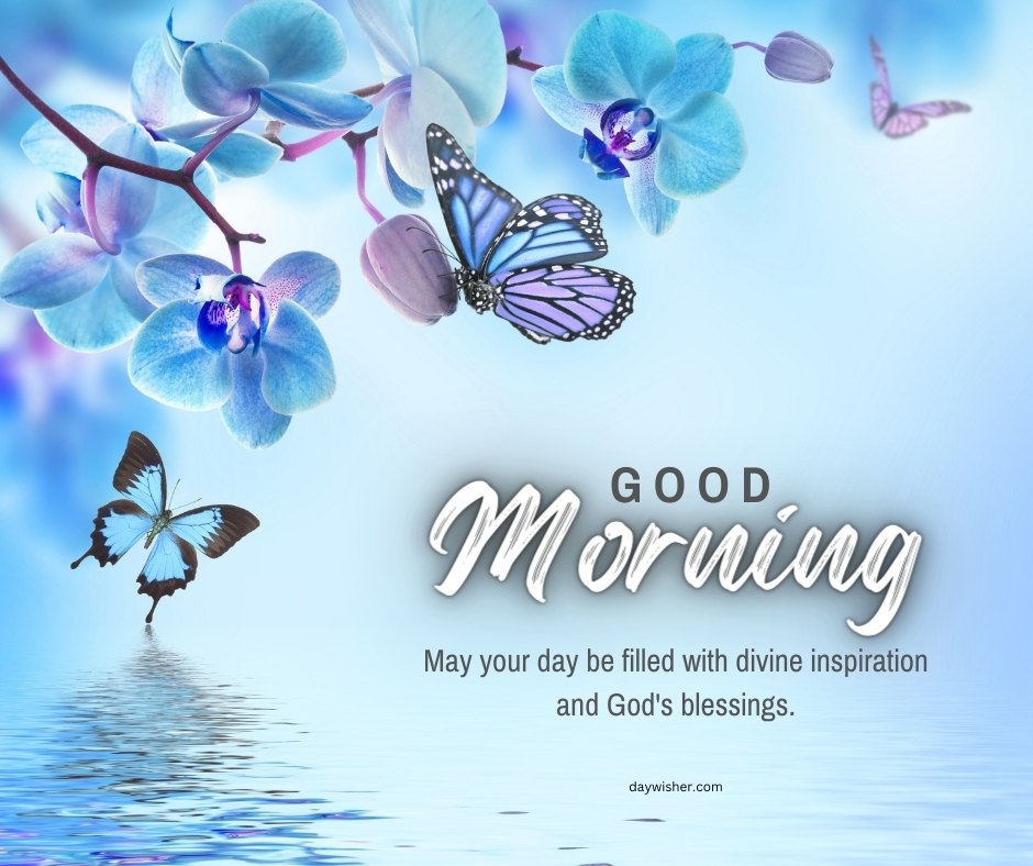 A beautiful good morning blessings image featuring vibrant blue orchids and butterflies with the message "Good Morning. May your day be filled with divine inspiration and God's blessings." The serene floral scene and delicate butterflies create a calming and uplifting atmosphere, perfect for sharing inspirational and religious morning greetings. This image conveys a sense of peace and divine connection, making it ideal for starting the day with positive and spiritual blessings.