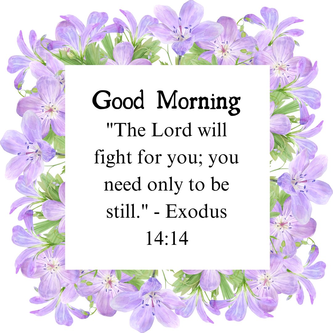 A beautiful good morning blessings image featuring a border of purple flowers with the message "Good Morning. 'The Lord will fight for you; you need only to be still.' - Exodus 14:14." The delicate floral frame and the comforting Bible verse create a serene and uplifting atmosphere, perfect for sharing inspirational and religious morning greetings. This image conveys a sense of peace and divine protection, making it ideal for starting the day with positive and spiritual thoughts.