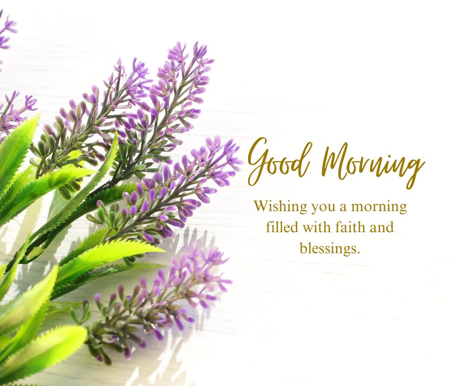 A beautiful good morning blessings image featuring lavender flowers against a white background with the message "Good Morning. Wishing you a morning filled with faith and blessings." The vibrant purple flowers and the uplifting words create a serene and positive atmosphere, perfect for sharing inspirational and religious morning greetings. This image conveys a sense of faith and divine blessings, making it ideal for starting the day with positivity and grace.