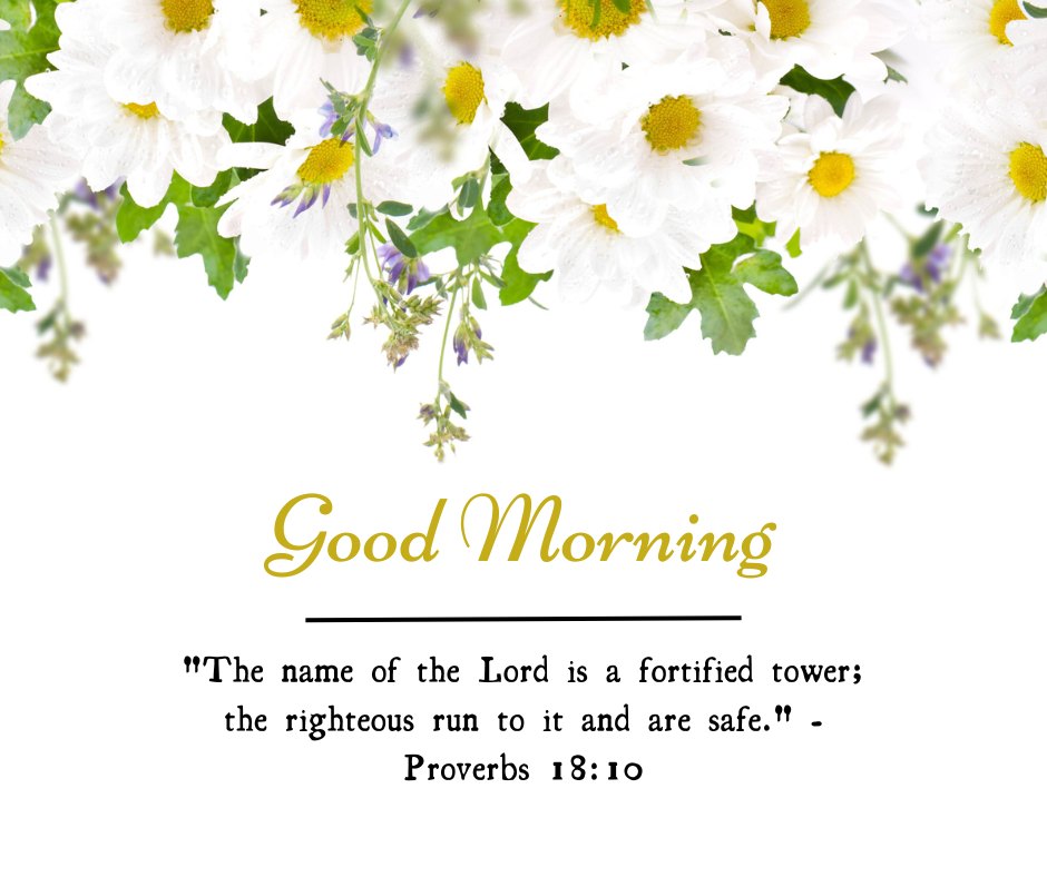 A beautiful good morning blessings image featuring white daisies with yellow centers and green leaves, accompanied by the message "Good Morning. 'The name of the Lord is a fortified tower; the righteous run to it and are safe.' - Proverbs 18:10." The delicate flowers and the comforting Bible verse create a serene and uplifting atmosphere, perfect for sharing inspirational and religious morning greetings. This image conveys a sense of safety and divine protection, making it ideal for starting the day with positive and spiritual thoughts.