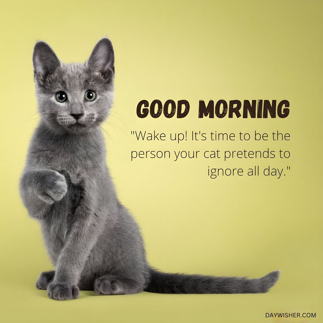 A gray kitten raising its paw sits against a yellow background with a message saying "Good Morning" and a quote: "Wake up! It's time to be the person your cat pretends to ignore